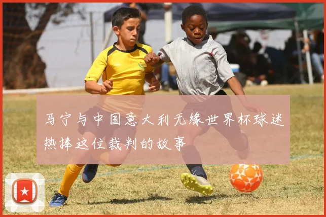 马宁与中国意大利无缘世界杯球迷热捧这位裁判的故事