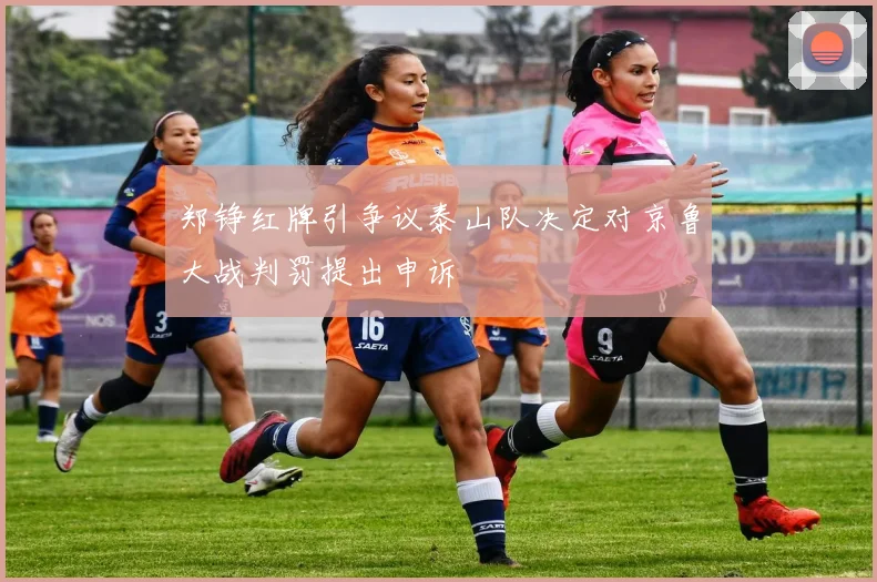 郑铮红牌引争议泰山队决定对京鲁大战判罚提出申诉